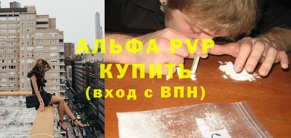 apvp Каменногорск