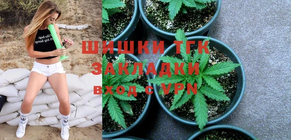 стаф Каменск-Шахтинский