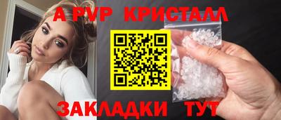 крисы Шебекино