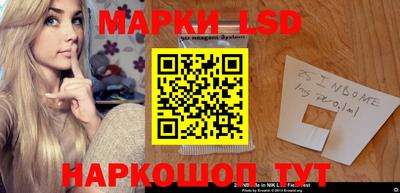 крисы Шебекино