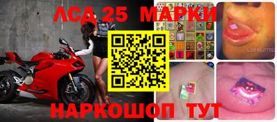 крисы Шебекино