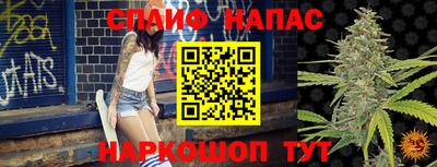 крисы Шебекино