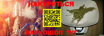 крисы Шебекино