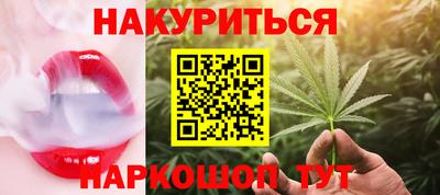 крисы Шебекино
