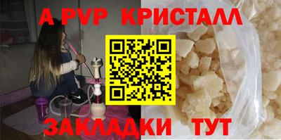 крисы Шебекино